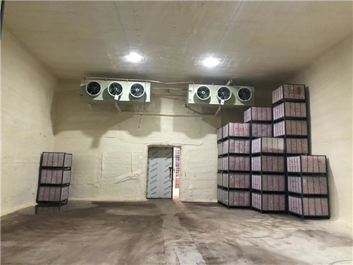 AG手机客户端登录|（中国）有限公司
苹果冷库安装案例